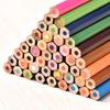 12/24/36/48-Color Cartoon Barrel Colored Pencils Set Lead-free Drawing Pencils for Kids Students Smooth Coloring Portable Art Supplies for School