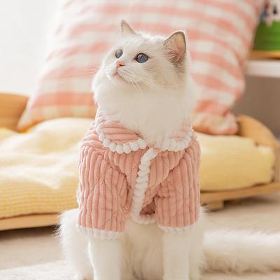 Cat Clothing Autumn and Winter Warm Thickened Loungewear Two Feet Into Cat Kittens Small Dogs Dog Pet Cat Clothes