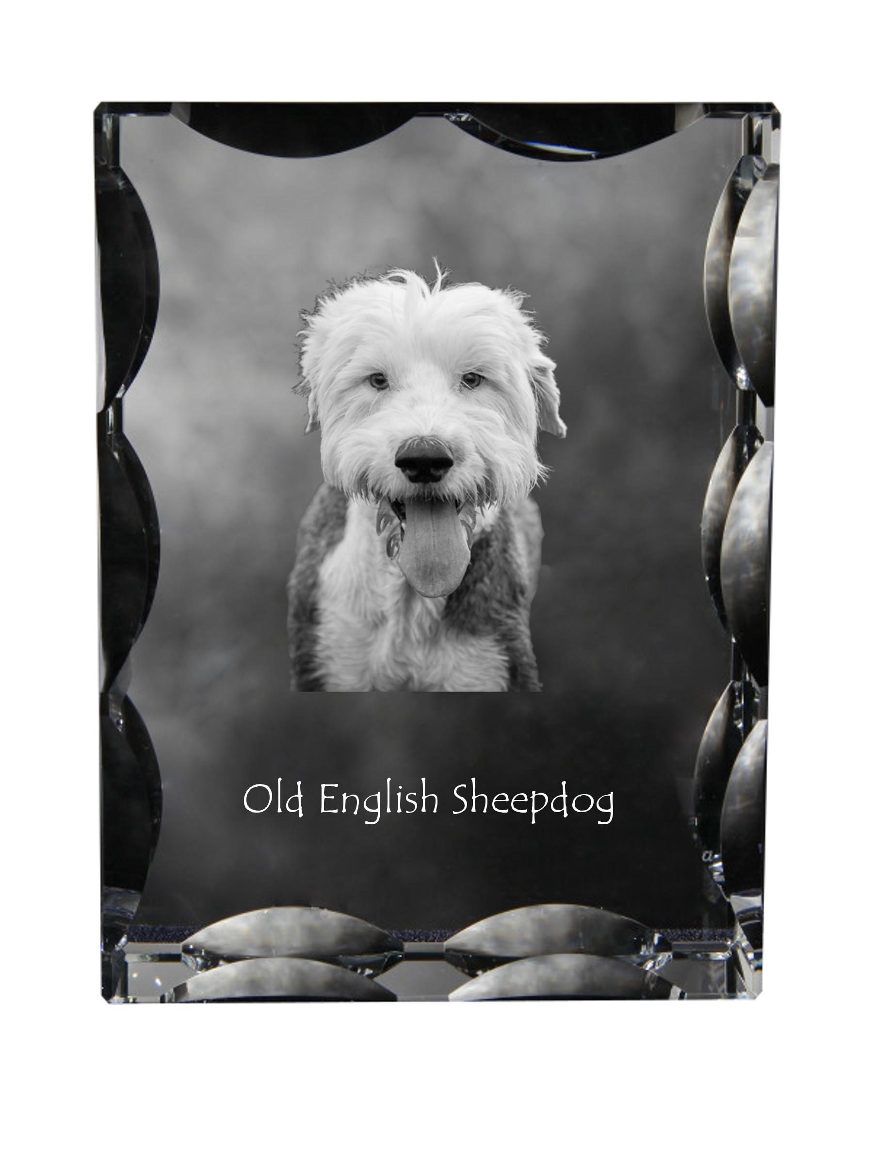

Old English Sheepdog - crystal with a picture of a dog, glass statuette with a picture, unique frame with a picture from Art-Dog brand прозорий