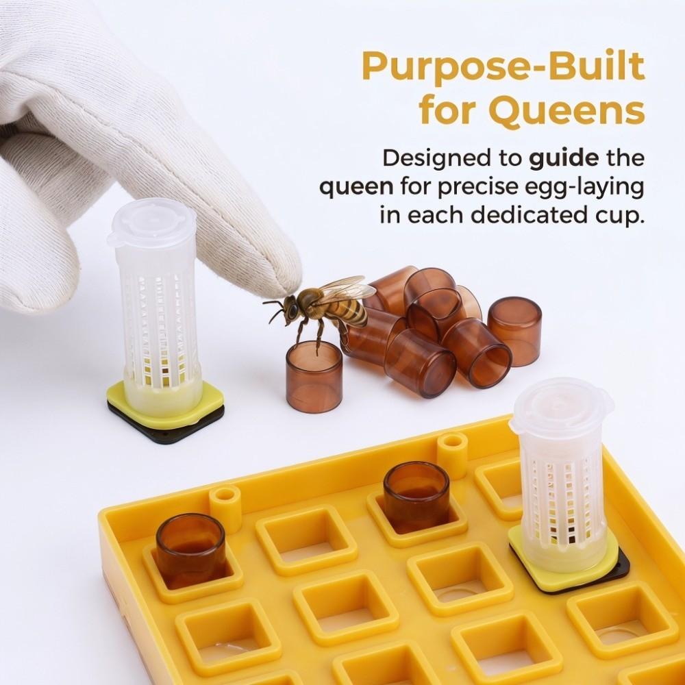 High Quality Plastic Queen Rearing Cup Kit Queen Rearing Cage Set  Raise Your Own Queens