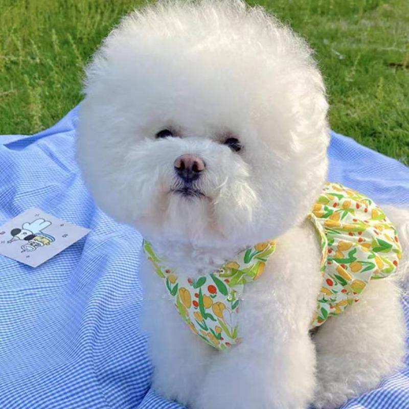 Pet Princess Dress Suspender Bichon Pomeranian Yorkshire Schnauzer Small Dog Cat Clothes Summer Thin Dog Bud Dress
