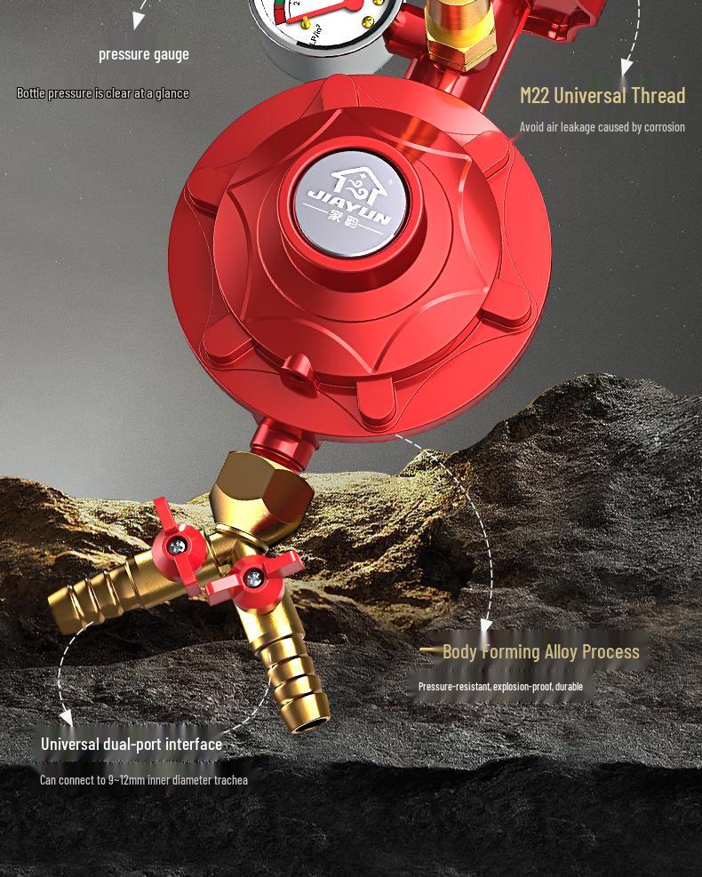 Dual Burner Explosion-Proof Gas Stove with Auto Shut-off Valve for LPG