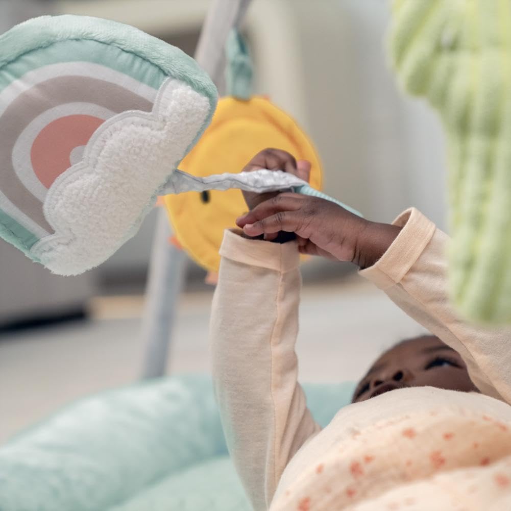 Ingenuity Calm Springs Fluffy Play Gym