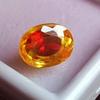 Natural Pitambari Sapphire Bi-Color Ceylon 10-12 Ct Oval Cut Fabulous Gemstone
