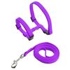 New Perfect, Durable, and Easy-to-Use Pet Wardrobe - Ideal for Tiny Dogs & Cats In Various Sizes & Colors - All-Day Wear for Adv