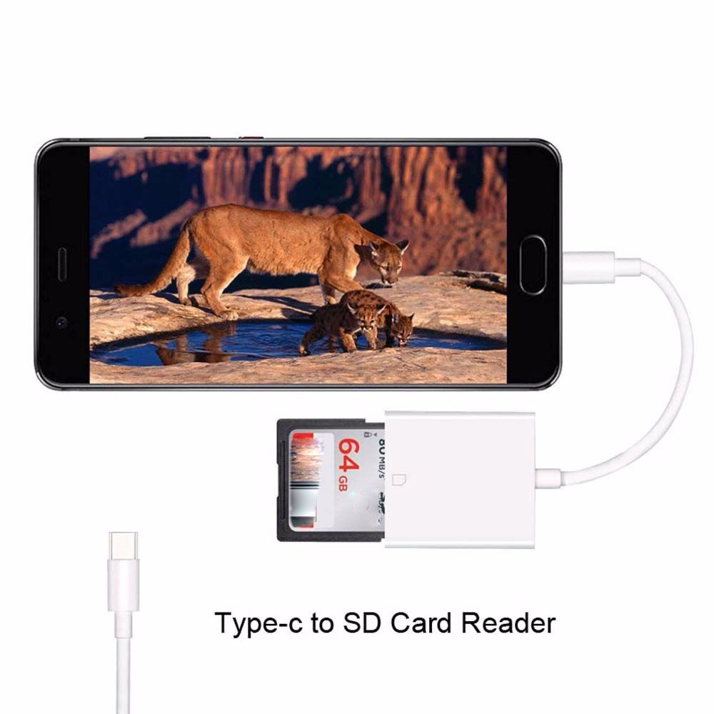 Accessories USB C to SD Type-C Type C Card Reader Card Reader Adapter Card Reader Type C to SD/TF