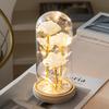 LED Luminous Rose Flowers in Glass Cover - Perfect Gift for Mother's Day, Valentine's Day, and Christmas