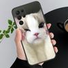 Phone Case For Samsung A17 A55 A16 A56 A35 A15 A53 A54 A33 A34 A25 A05S A52 A52S A07 A26 A06 Cute Cats