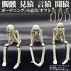 Startside See No Evil Hear No Evil Skull Figure Skeleton Interior Ornament Craft Resin Novelty Item 3-Piece Set