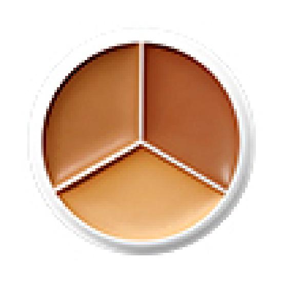 TFIT Cover Up Pro Concealer 7 Colors (Single Product/Planned)