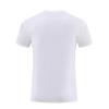 Herren Schnelltrocknendes Sommer Sport T-Shirt - Rundhals, Kurze Ärmel, für Laufen & Fitness im Freien.