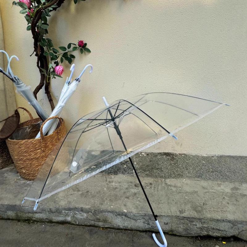 Transparent Automatic Long-Handle White Umbrella - Free Shipping