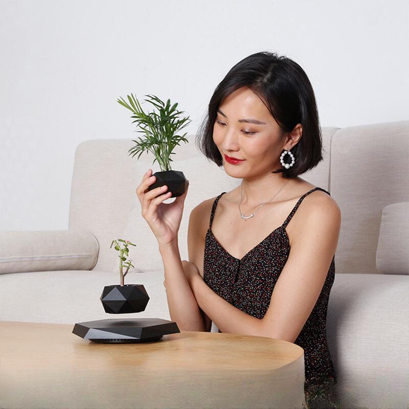 Magnetic Levitation Bonsai: Air-Purifying Ornamental Plant for Home or Office