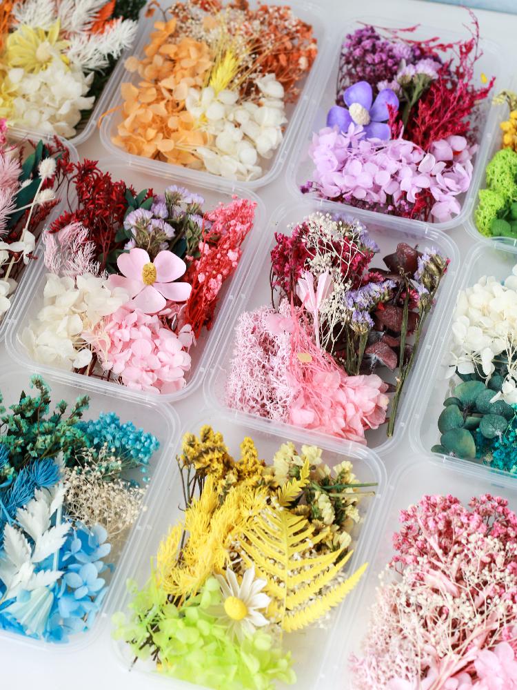 Assorted Preserved Dried Flower Kit: Hydrangea, Photo Frame & Wax Tablet Decorations