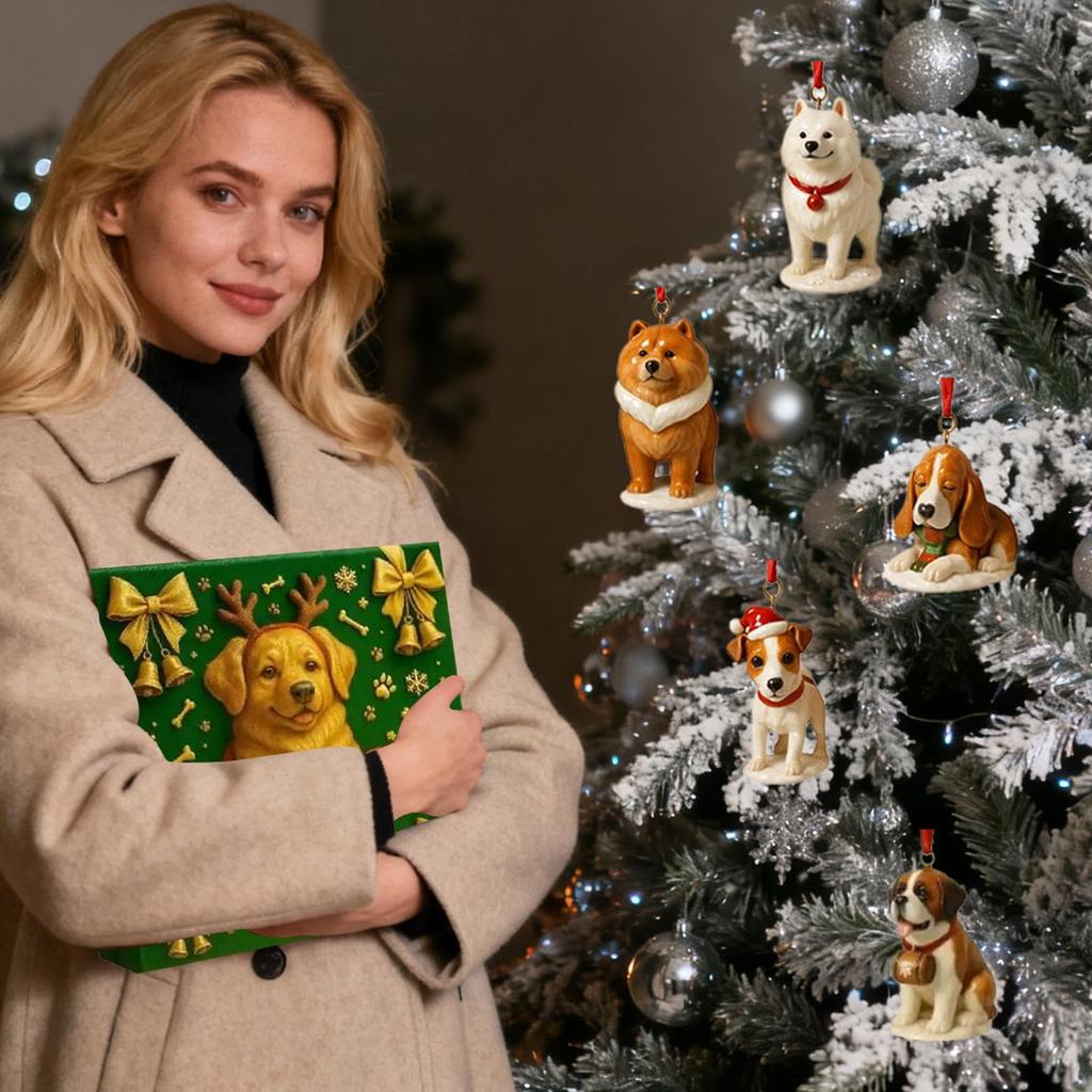 2D Plane+airplane Box +24PC Dog Lovers Countdown Box Christmas Advent Calendar