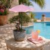 Plant Umbrella 10 Inch Diam Umbrella, Outdoor UV Protection Shade, Mini Parasol Provides Shade Patio Sunshade To ?Defend Plants from Blazing