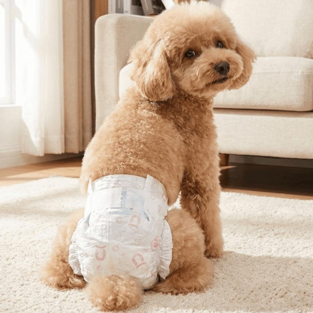 10PCS Super Absorption Female Dog Diapers Adjustable Breathable Disposable Diapers Comfortable Potty Training Aid