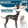 Stainless Steel Dog Chain Collar with Quick Release Buckle, Heavy Duty Anti-Rust Metal Chain Collar for Small Large Medium Dogs, Secure & Durable Dog