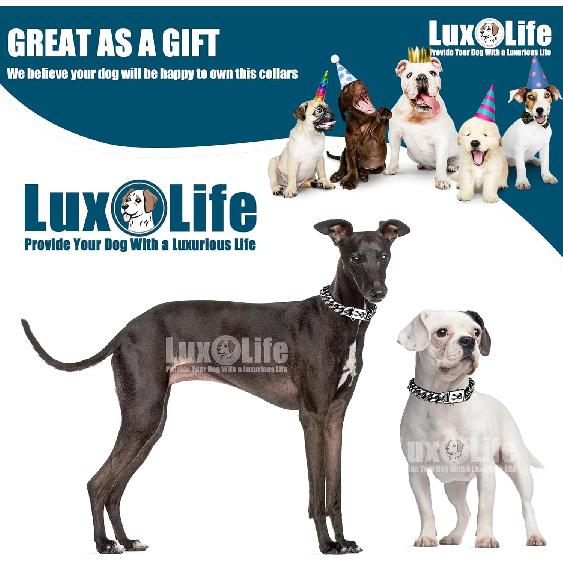 Stainless Steel Dog Chain Collar with Quick Release Buckle, Heavy Duty Anti-Rust Metal Chain Collar for Small Large Medium Dogs, Secure & Durable Dog