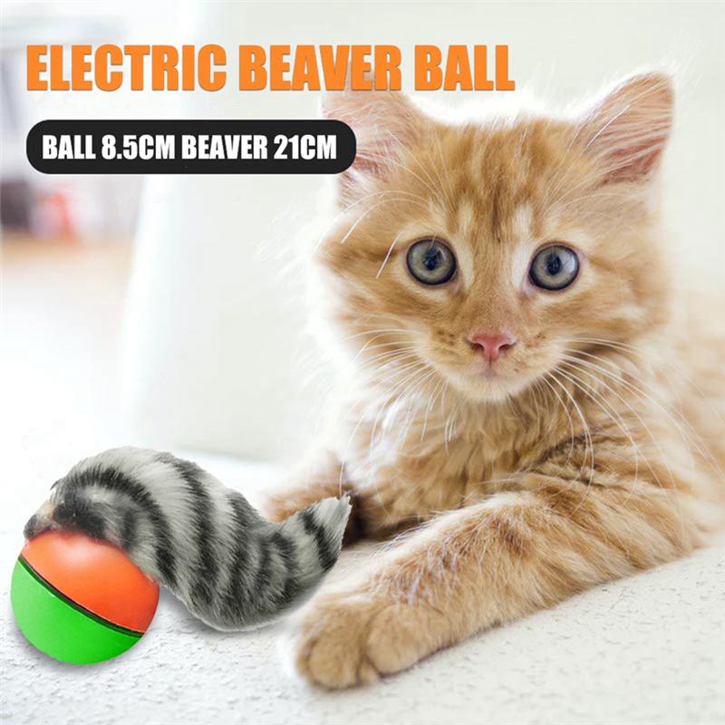 M-Modern-Electric Beaver Ferret Rolling Ball For Dog And Cat Interaction, Pet Chasing , Agility Training Supplies