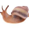 Simulation Animal Insect Model Mini Animal Snail Growth Cycle Ornament
