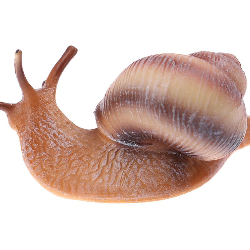Simulation Animal Insect Model Mini Animal Snail Growth Cycle Ornament