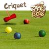 Wooden Croquet Set - MGM - 73cm - 4 Balls - For Children Aged 6 and Up