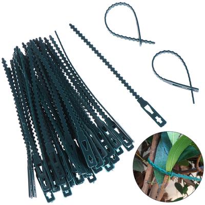Fascette fermacavi riutilizzabili da 50 pezzi per arrampicarsi sugli alberi con fascette per piante in plastica regolabili