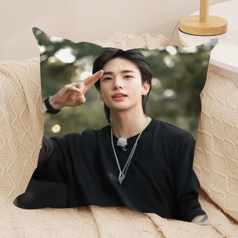 H-hyunjin-n Наволочка на подушку Шелковистый Короткий Плюш Чехол для Диванной Подушки Скрытая Молния Мягкий Пылезащитный Чехол для Домашнего Декора 30cmx30cm