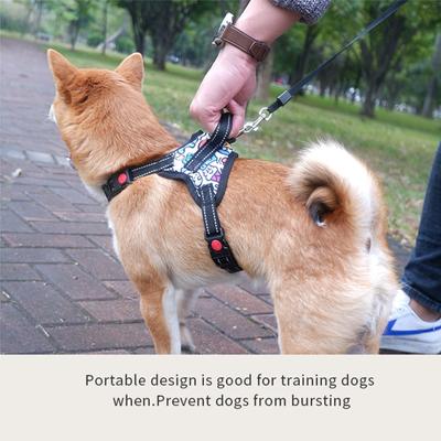 Reflektierende Haustier Hund Geschirr Weste Hunde Brustgurt für Französische Bulldogge Halsband Shiba Inu Geschirr für Kleine Große Hunde Spaziergang Produkt