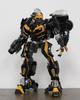 dark yellow wasp