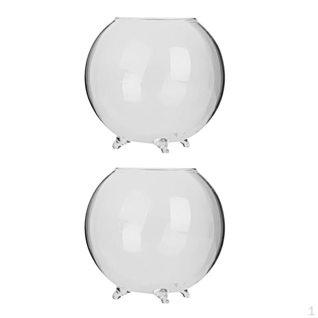 

2 штуки стеклянная ваза контейнер для микроландшафта террариума