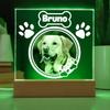 Custom Pet Photo Night Light Pet Growth Memorial Plaque Frame Personalized Custom Pet Picture Ornament Record Life Highlight
