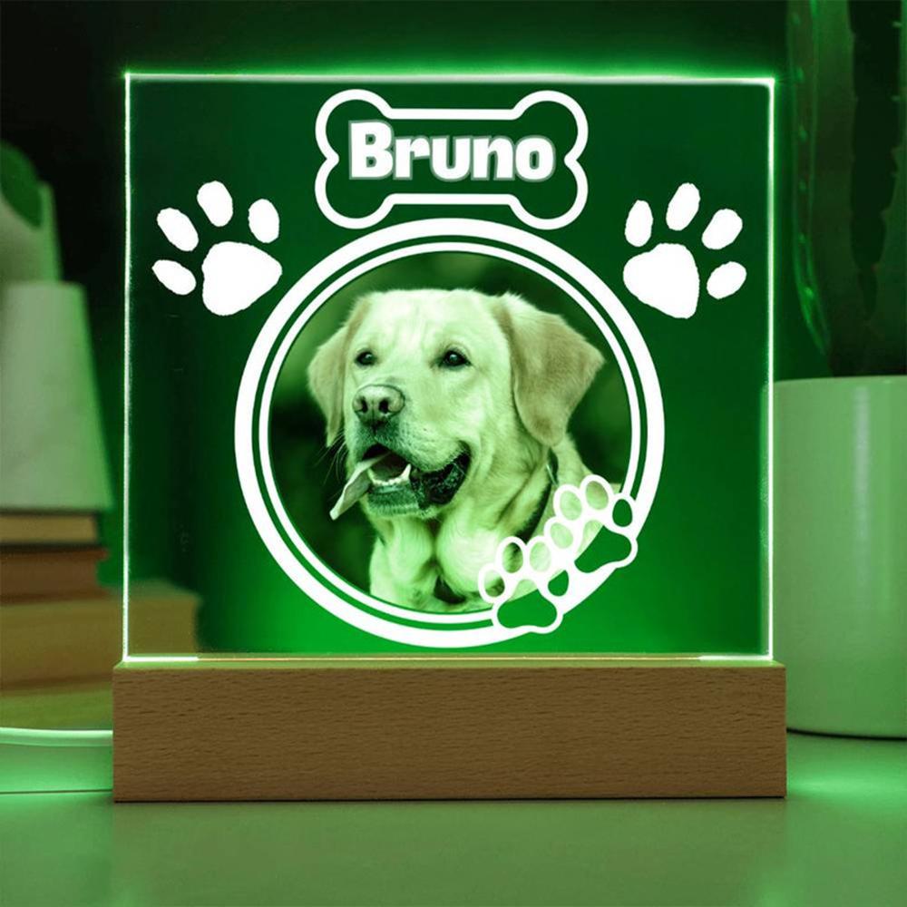 Custom Pet Photo Night Light Pet Growth Memorial Plaque Frame Personalized Custom Pet Picture Ornament Record Life Highlight