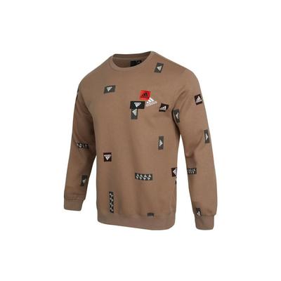 Толстовка з круглим вирізом з візерунком і довгими рукавами, коричневий HN8983