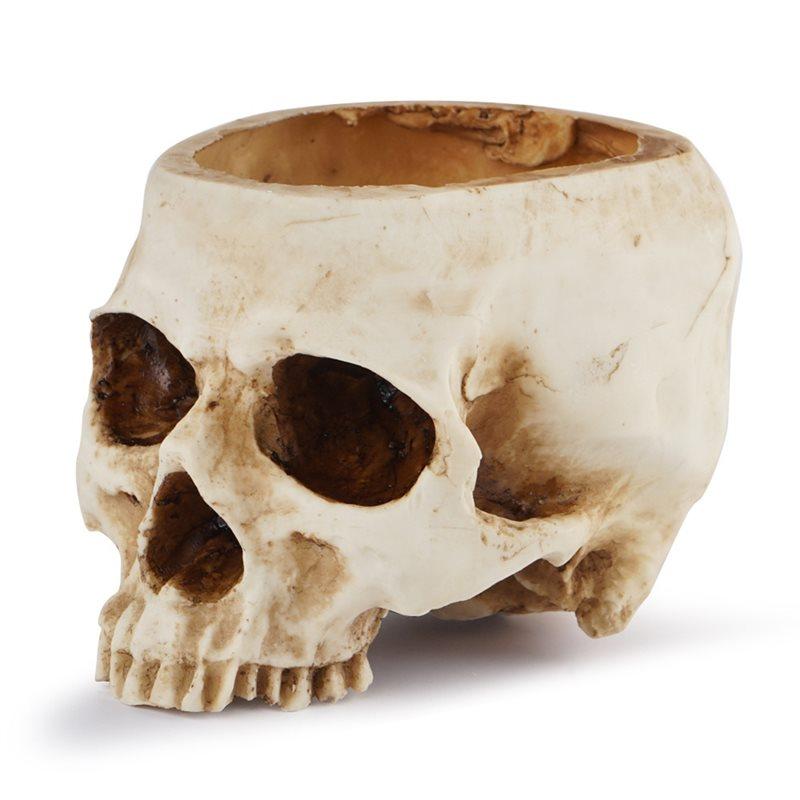 

Fresh Resin Skull Shaped Flower Pot Candy 1 Pc With Drain Hole, Skull Planter For Home Office Desk, Gothic Style Decoration