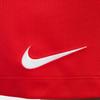 Nike Dri Fit Sports Shorts Men's University Red IB8654-657
