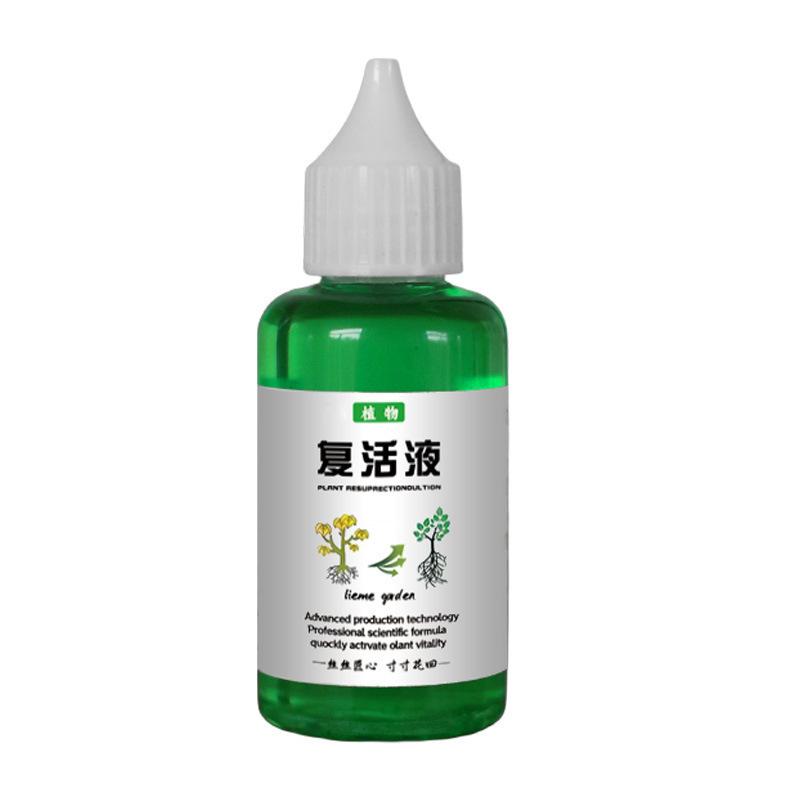 Revive Flüssigkeit: Heilt gelbe Blätter und leblose Pflanzen – Ideal für Obst, Gemüse, Grünpflanzen und Blumen 50ml grün