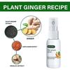 Eelhoe Ginger Hair Growth Essence - Strengthening And Repairing Hair Serum, Hair Nourishing And Root Care Spray