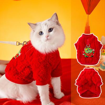 Katzen – Kleidung für Katzen