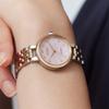 Citizen L 50m Water Resistant Light Powered Quartz Movement Stainless Steel Strap Watch EM0996-84Y