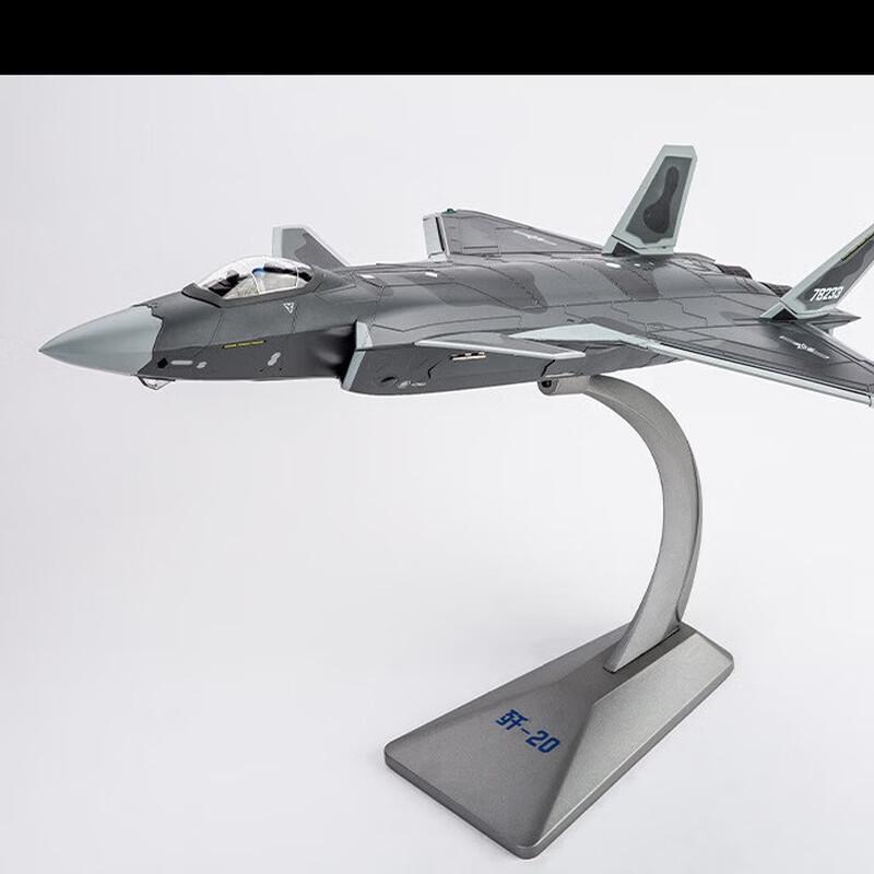 WEZHO J-20 Stealth Fighter Aircraft Model