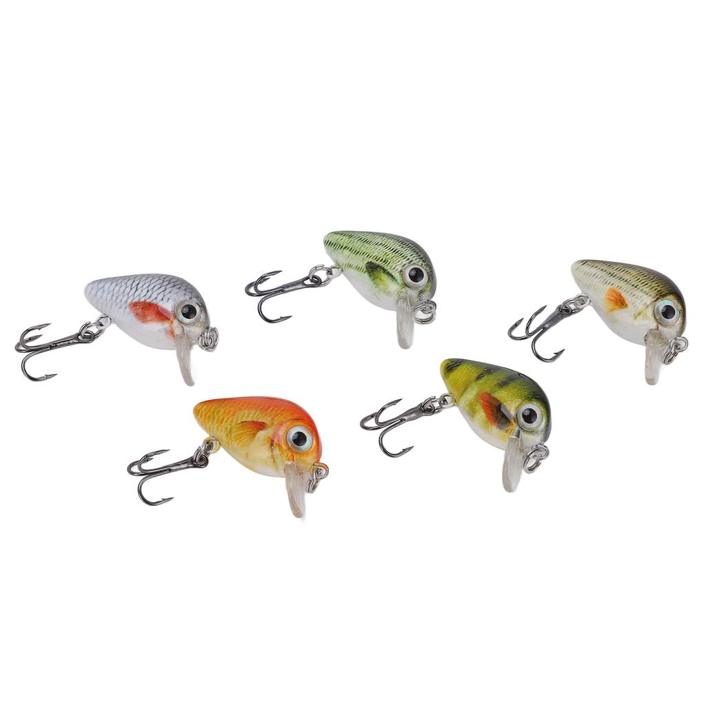 5 Pcs Mini Fishing Lures Crankbait Realistic Fishing Hard Baits Kit with Box for Sea Water and Fresh WaterType 3