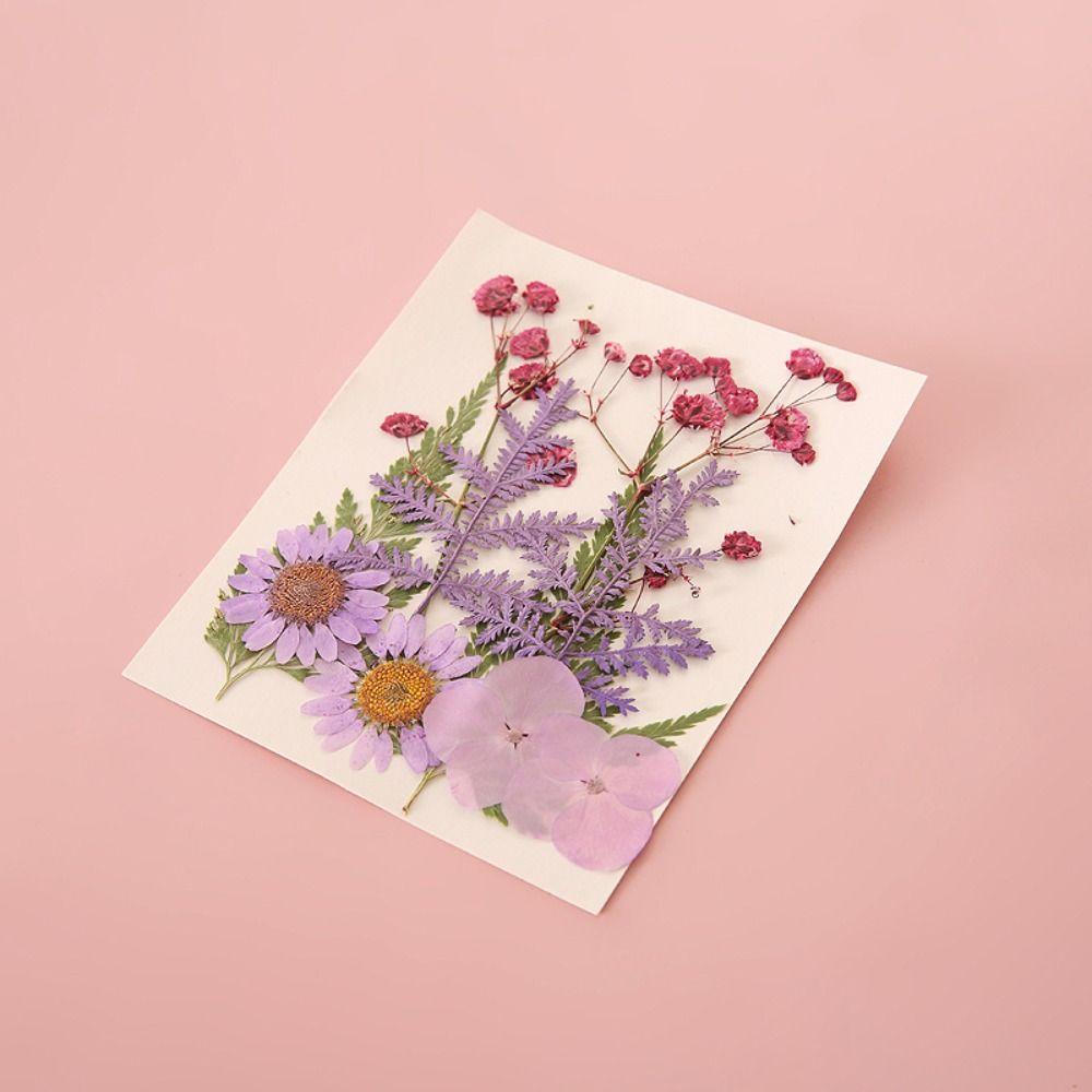 Fleurs séchées Pressées DIY Marque-pages en fleurs séchées Matériaux DIY Marque-page de page Fleur Enfants