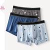 Fenteng Men's 2025 New Pure Cotton Boxer Briefs