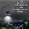 Peixes e animais aquáticos – Iluminação de aquário