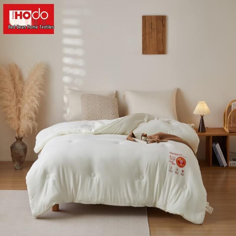 Hodo Snow Velvet Warm Winter Quilt