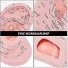 Ear Acupuncture Model Professional Reflexology Acupoint Learning Display Laboratory Supplies