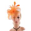 Church Kentuck-y Derby Pearl Mesh Flower Feather Fascinator Hat  for Women