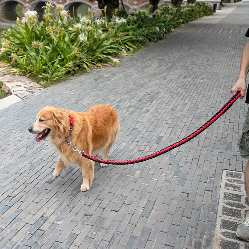 Strapazierfähiges Hundehalsband-Leine-Set, verstellbares Gehorsams-P-Kettenhalsband, Nylon-Hundeleine, Führleine für mittelgroße und große Hunde